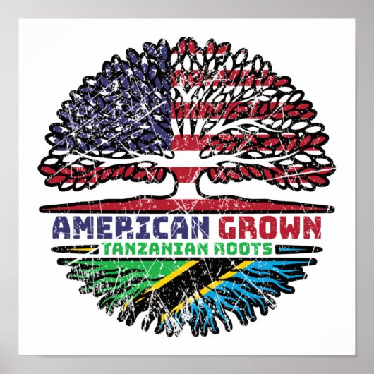 タンザニアTanzanian US American USA 統一された州 ポスター (正面)
