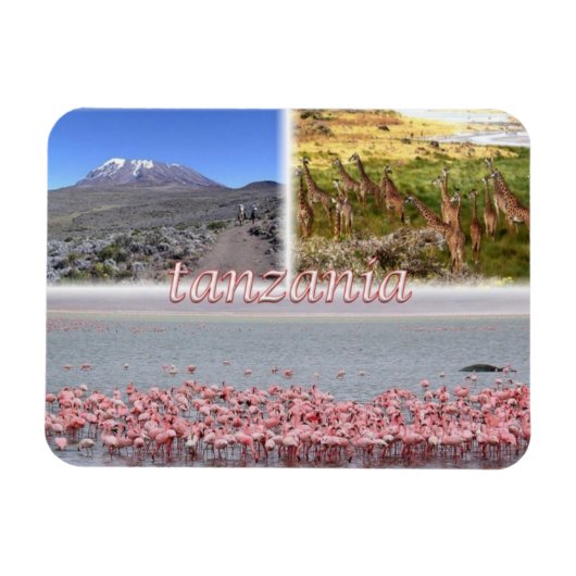 タンザニアTZ - マグネット (横)