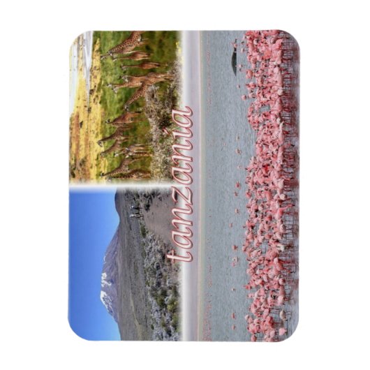 タンザニアTZ - マグネット (縦)