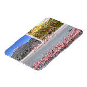 タンザニアTZ - マグネット (左側)