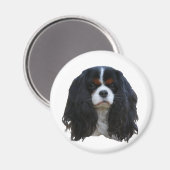 タンシー マグネット (正面/裏面)