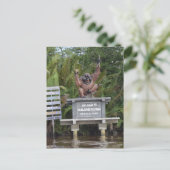 タンジュンパッティング国立公園、ボルネオ島 ポストカード (スタンド正面)