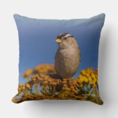タンジーに座る白い冠をかぶったスズメの鳴鳥 クッション (正面)