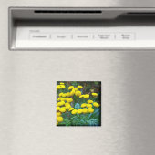 タンジーの花 マグネット (インサイチュ (食洗機))