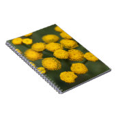 タンジーのTanacetumのvulgare ノートブック (右側)