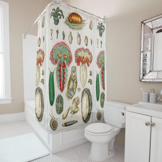 タンタクルスタコイカウオ シャワーカーテン (インサイチュ)