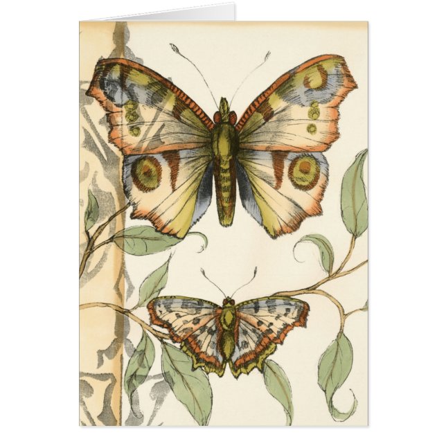 タンデムバタフライオーバーグリーン葉ズ (正面)