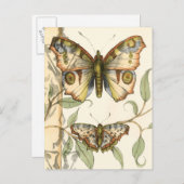 タンデムバタフライオーバーグリーン葉ズ ポストカード (正面/裏面)