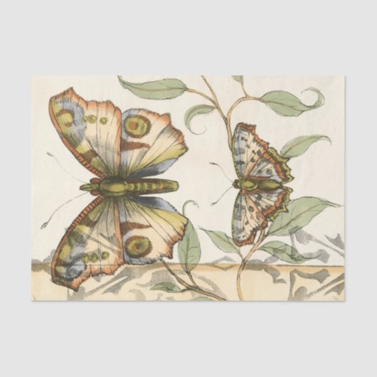 タンデムバタフライオーバーグリーン葉ズ 薄葉紙 (正面)