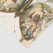 タンデムバタフライオーバーグリーン葉ズ 薄葉紙 (詳細)