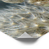 タンデリオンスター2012 ポスター (角)