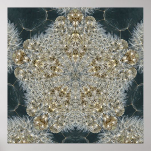 タンデリオンスター2012 ポスター (正面)