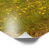 タンデリオン場 フォトプリント            (角)