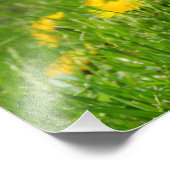 タンデリオン場 フォトプリント            (角)