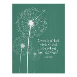 タンデロンデザインポスター ポスター