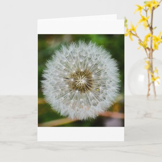 タンデロン、カード カード (黄色い花)