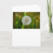 タンデロン、カード カード (正面)