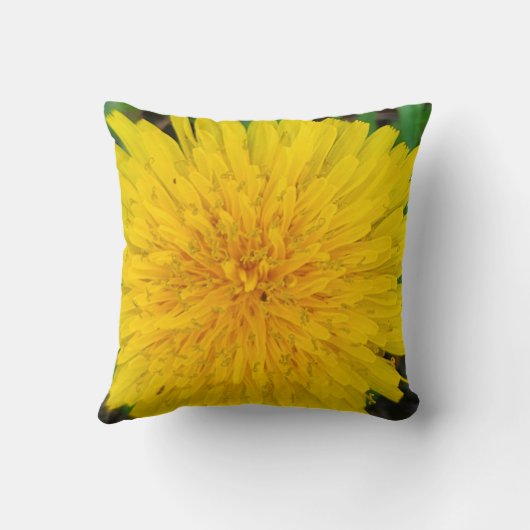 タンデロン クッション (裏面)