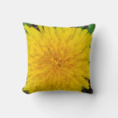 タンデロン クッション (正面)