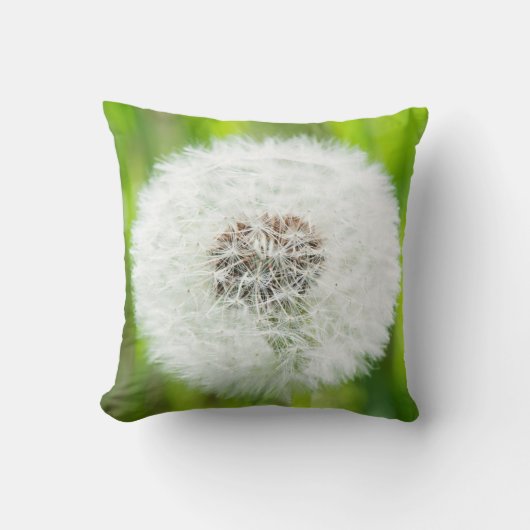 タンデロン クッション (正面)