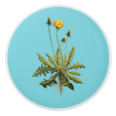 タンデロン セラミックノブ (正面)