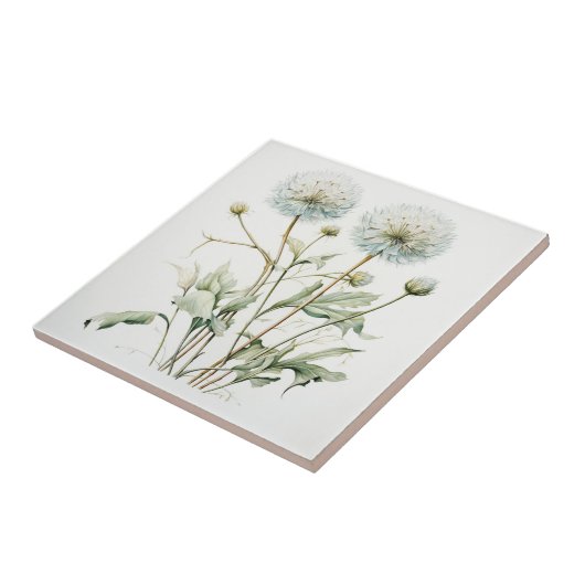 タンデロン タイル (側面)