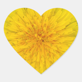 タンデロン ハートシール