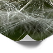 タンデロン ポスター (角)