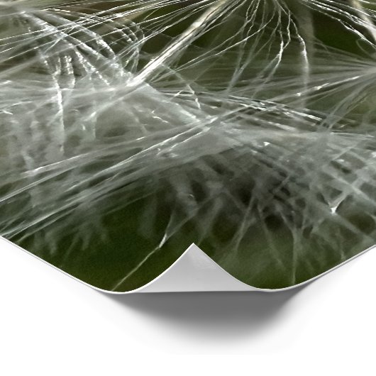 タンデロン ポスター (角)