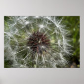 タンデロン ポスター (正面)