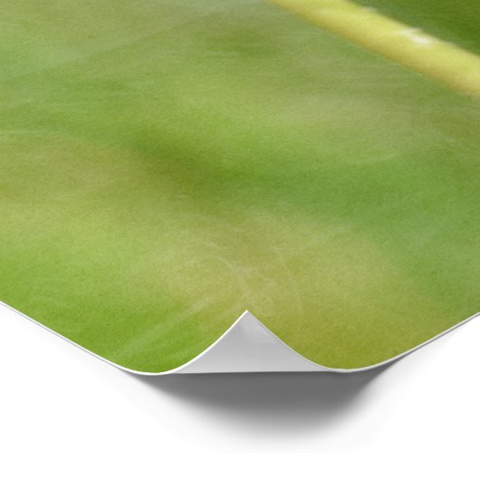 タンデロン ポスター (角)