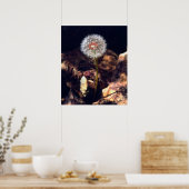 タンデロン ポスター (キッチン)