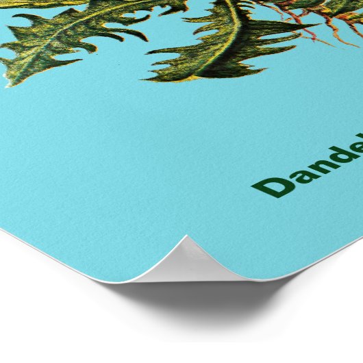 タンデロン ポスター (角)