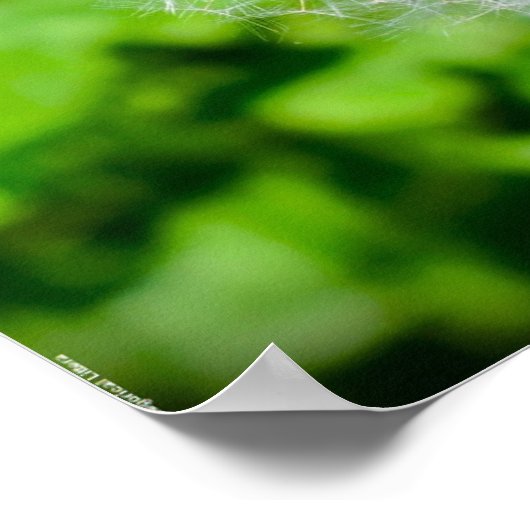 タンデロン ポスター (角)