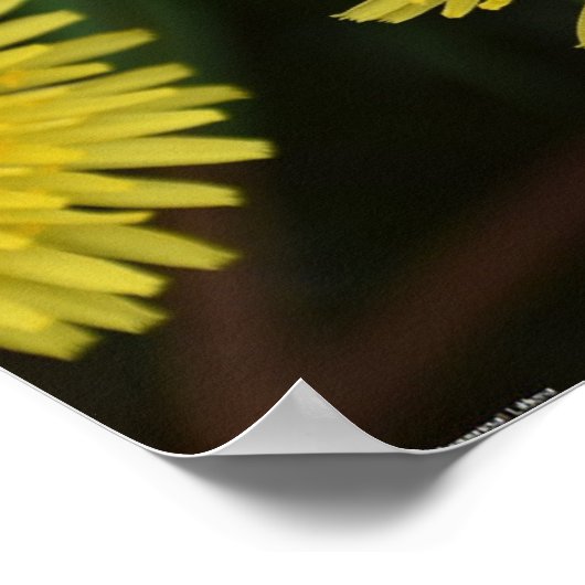 タンデロン ポスター (角)