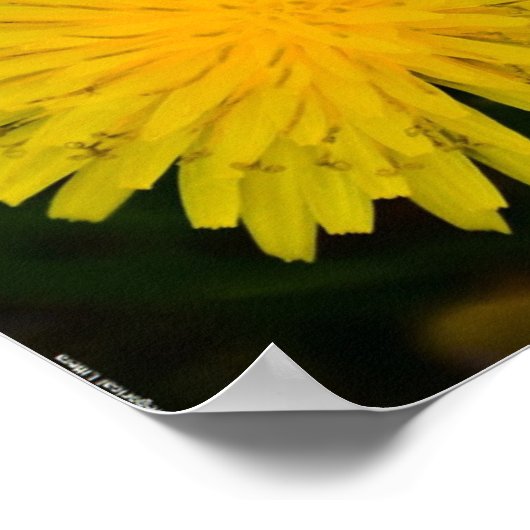 タンデロン ポスター (角)