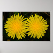 タンデロン ポスター (正面)