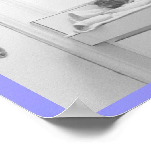 タンデロン ポスター (角)