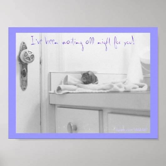 タンデロン ポスター (正面)