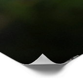 タンデロン ポスター (角)