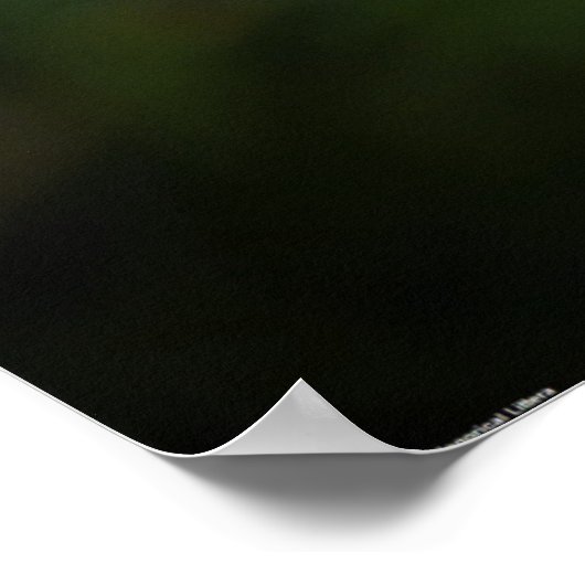 タンデロン ポスター (角)