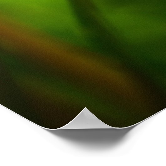 タンデロン ポスター (角)