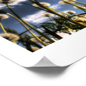 タンデロン ポスター (角)