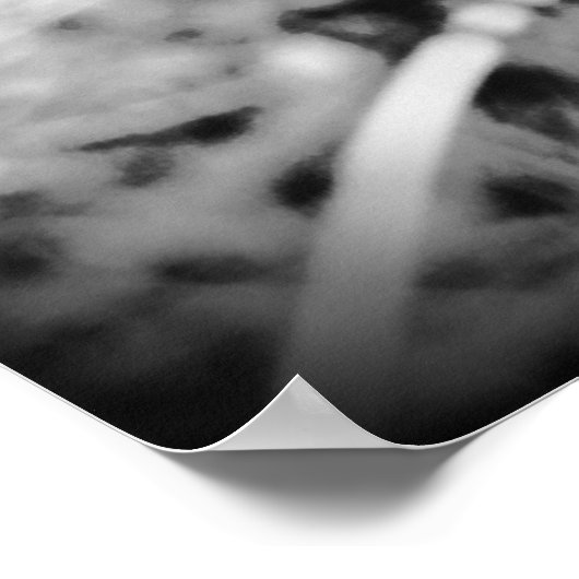 タンデロン ポスター (角)