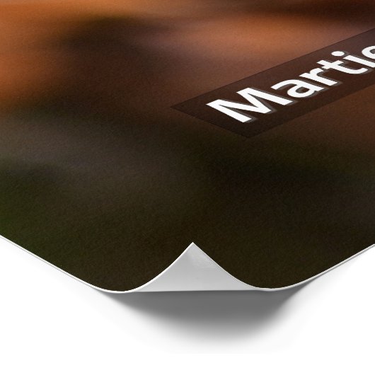 タンデロン ポスター (角)