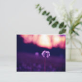 タンデロン ポストカード (スタンド正面)