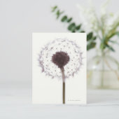 タンデロン ポストカード (スタンド正面)