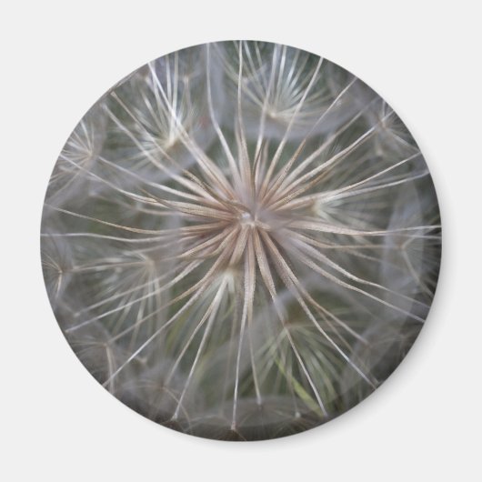 タンデロン マグネット (正面)