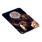 タンデロン マグネット (右側)