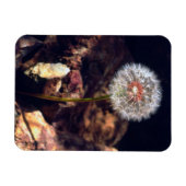 タンデロン マグネット (横)